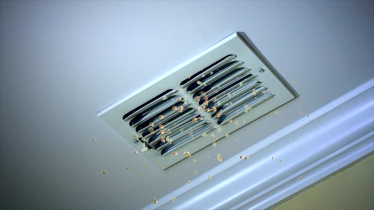 Best HVAC System Cleaning  in North Rock Springs, WY
